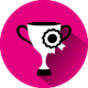 Trophy Award