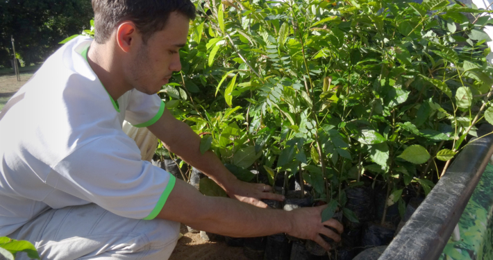 HP sustainability_Forest