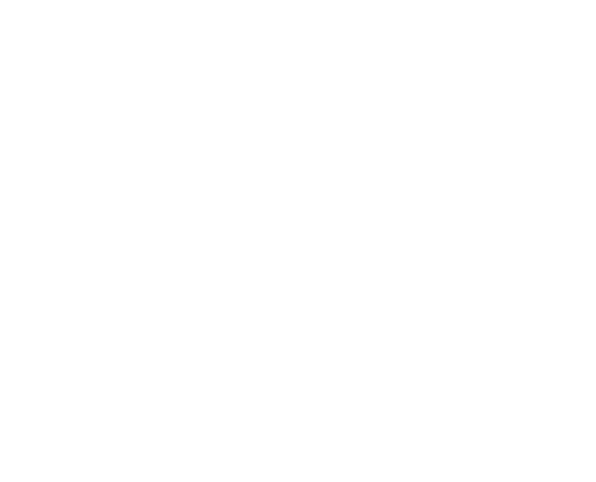 Onyx 24 logo